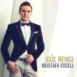 Mustafa Ceceli Gul Rengi